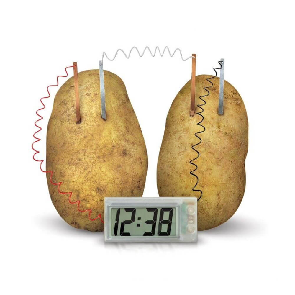 4M - Green Science - Potato Clock