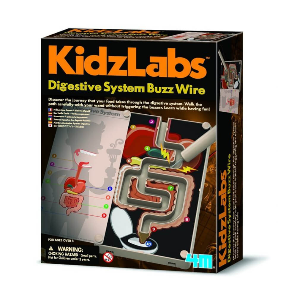 4M - Kidzlabs-Digestive System Buzz Wire
