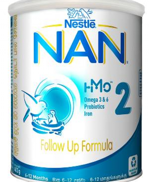 Nestle NAN 2 HMO Follow Up Formula with Iron -6-12 Months, 400g Tin