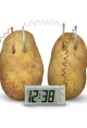 4M - Green Science - Potato Clock
